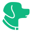 Planes de Salud Perros