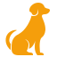 Vacunación Perros